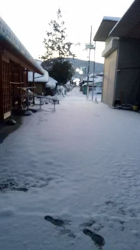 2018.1.23-2.jpg
