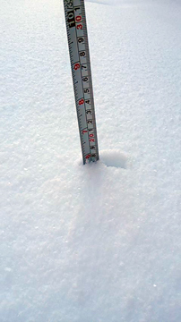 2018.1.23-4.jpg