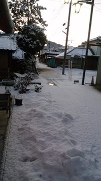 2018.1.30-1.jpg