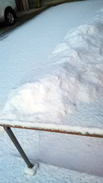 2018.1.30-2.jpg