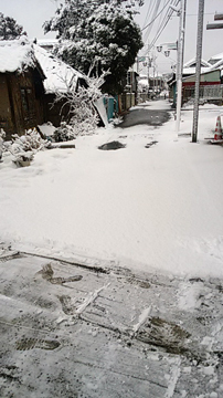 2018.2.2-1.jpg