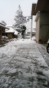 2018.2.2-2.jpg