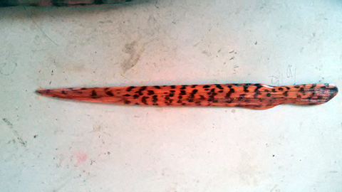 Xl[NEbh2.jpg