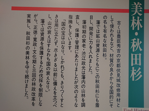久保田城6.jpg