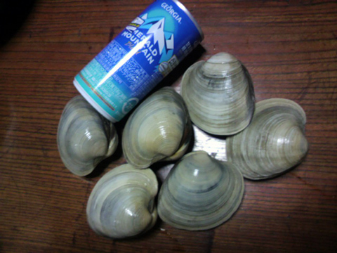 大アサリ.jpg