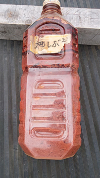 柿渋1.jpg