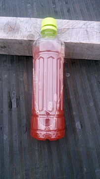 柿渋5.jpg