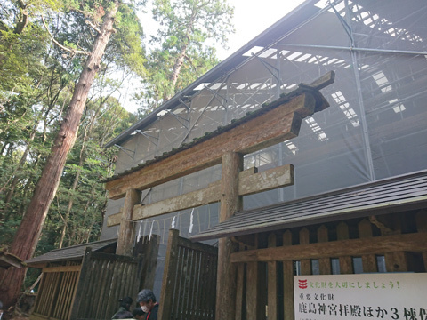 鹿島神宮 令和の大改修11.jpg