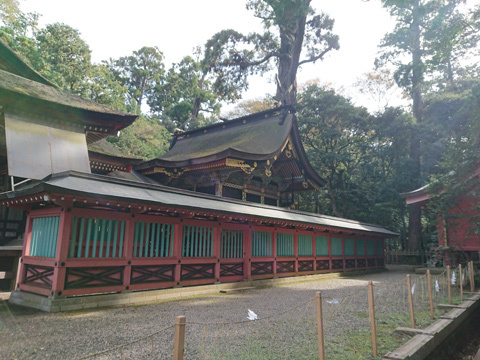 鹿島神宮 令和の大改修6.jpg