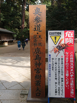 鹿島神宮 令和の大改修7.jpg
