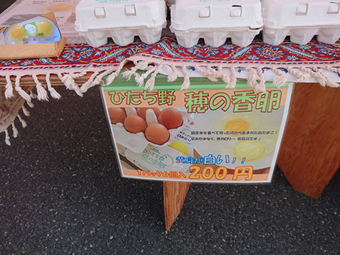 INI-2019-6.jpg